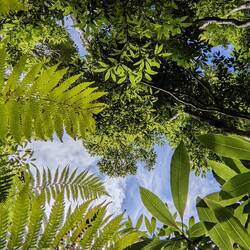 Ein Blick in den Himmel