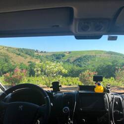 Frühstücksaussicht am Weingut