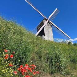 Bonne Chieremolen 1844