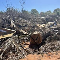 Look who weve found at campsite.