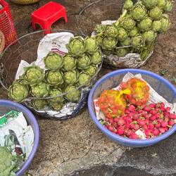 ארטישוק זה החיים