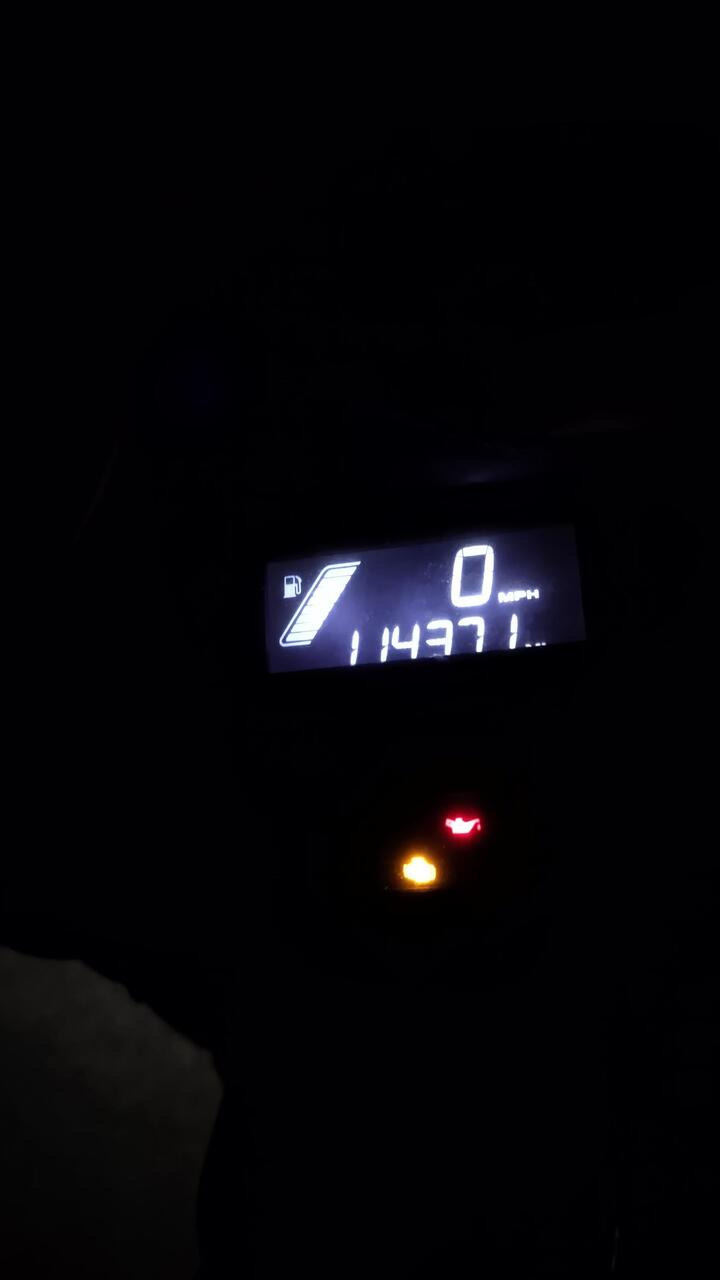 End of day 10