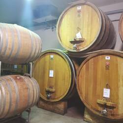 Cantina Montaribaldi