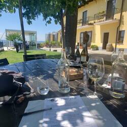 Patio of the Montaribaldi winery