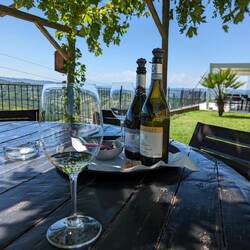 Patio of the Montaribaldi winery