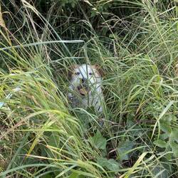 Power-Nap oder Streik?