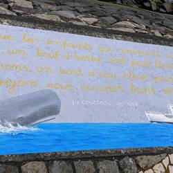 J. Cousteau