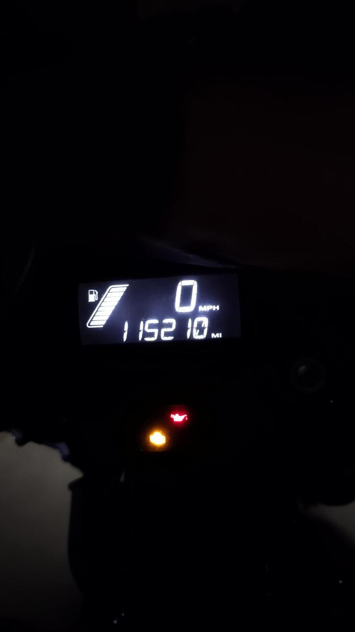 End of day 11