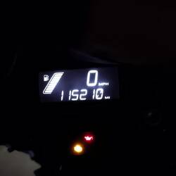 End of day 11