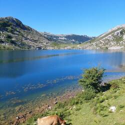 Lago Enol