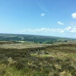 Typical Moorland View, with purple heather in the distance