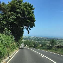 View toward the coastline