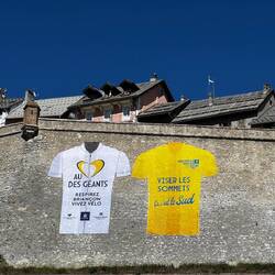 Bald ist Tour de France!