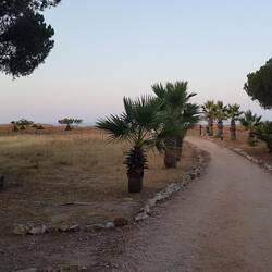 Der Weg zum Strand