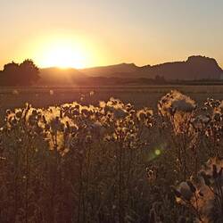 Abendspaziergang am Hartberg