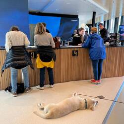Tourist Information Desk