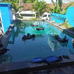 Paradies Diving Deutsche Tauchschule 🥽🐬 erste Übungen im Pool
