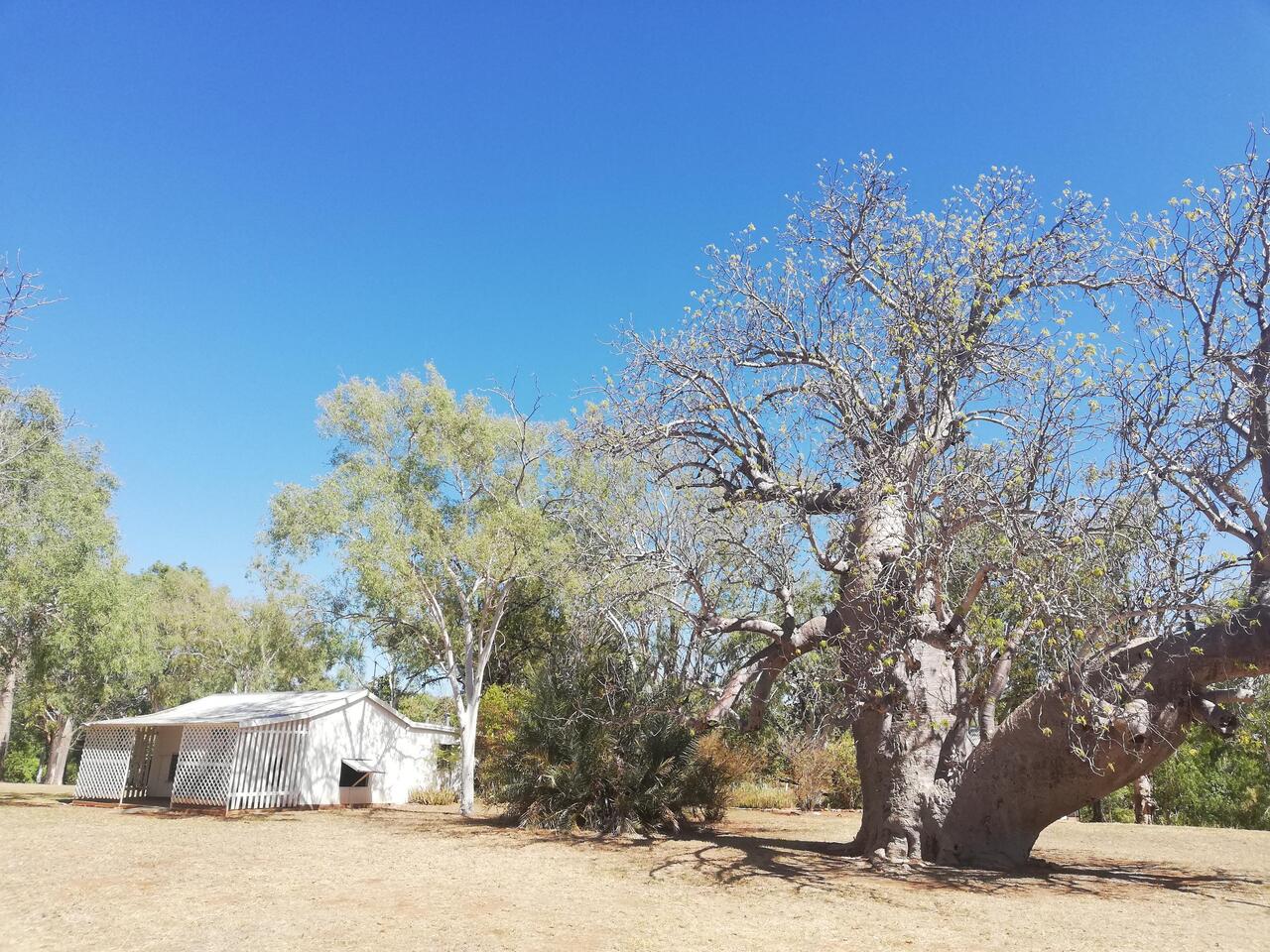 Bullita Homestead