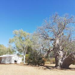 Bullita Homestead