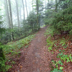 Aufstieg zur Hohen Möhr (983m)