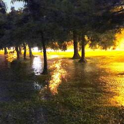 Flooding in Brisbane