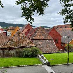 Bergen Rooftops