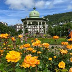 Flowers and the Bandstand in Byparken