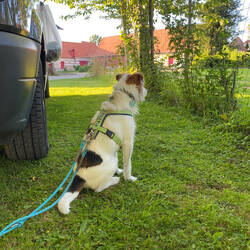 Wann kommt das Mädchen wieder zu Besuch?