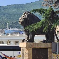Giant lions..everywhere