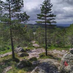 Schöner Weg