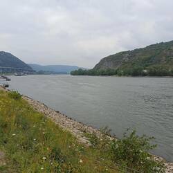 The Rhine