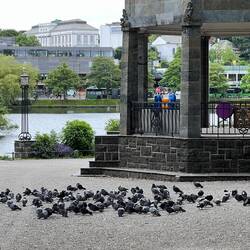 Stavanger Pigeon Convention