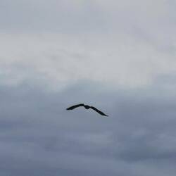 ... im Flugmodus
