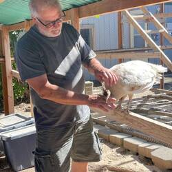 Larry with Tiki. He hand raised her and she clearly loves him.