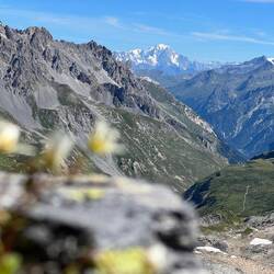 Blick auf den Mont Blanc