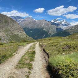 Tried heading diwn this way ... this road didn't lead ro anywhere