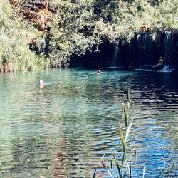 Fern Pool