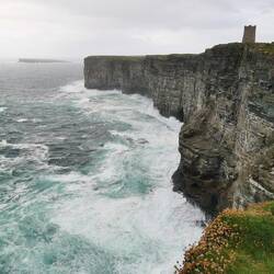 Hier in den Felshöhlen brüten jede Menge Vögel unter ziemlich rauen Bedingungen