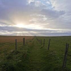 Auf dem Rückweg wird's nochmal richtig schön