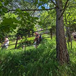 View of the outside portion of the walkway