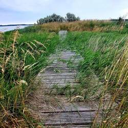Die Brücken zeigten, hier war einmal ein Weg!