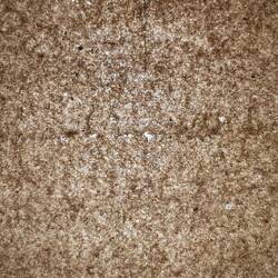 Prickings in Toilet Paper Reveals Diary of Executed Norwegian