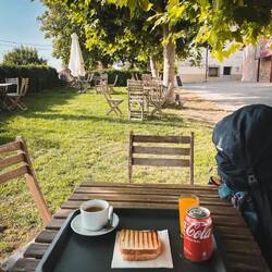 Kaffee, frisch gepresster Orangensaft, ein Käse-Schinken-Sandwich und ne Cola - klassisches Frühstüc
