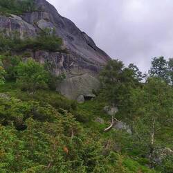 Natürlicher Unterschlupf