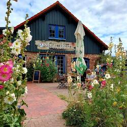 Café Strandgut kurz vor Heiligendamm....