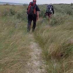 Wiedermal im Ostsee Dschungel!
