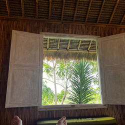 The jungle view from our room