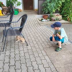 Erste Kontaktaufnahme :)