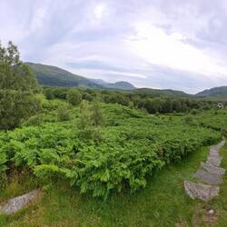 A 180 view from the top of the viewpoint