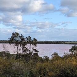 Pink lake at Dimboola